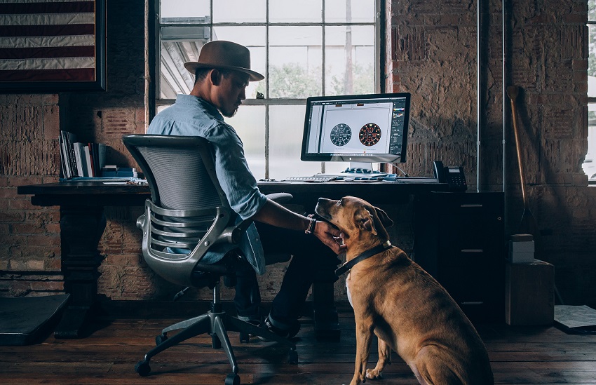 Man Working On Computer Playing With His Dog