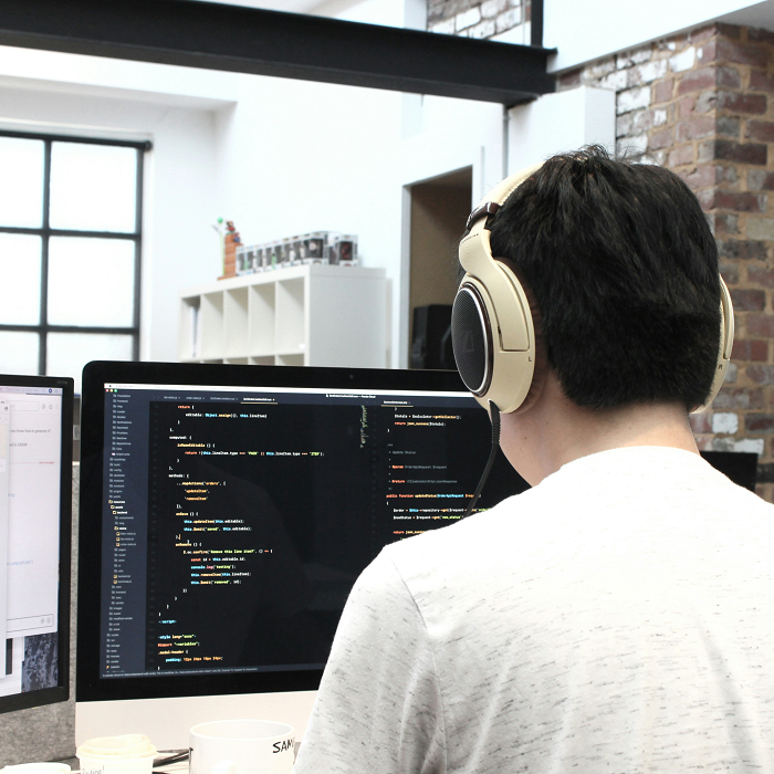 Web Developer