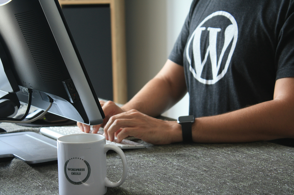 WordPress Logo On A Guy's Shirt