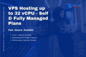 VPS Hosting up to 32 vCPU 1