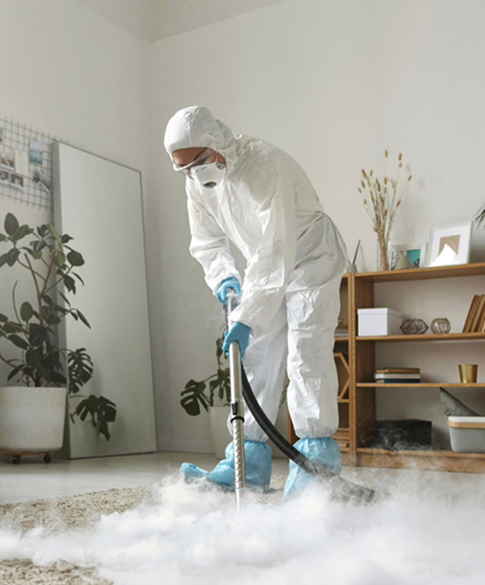 Nettoyeur-Employé-MLD